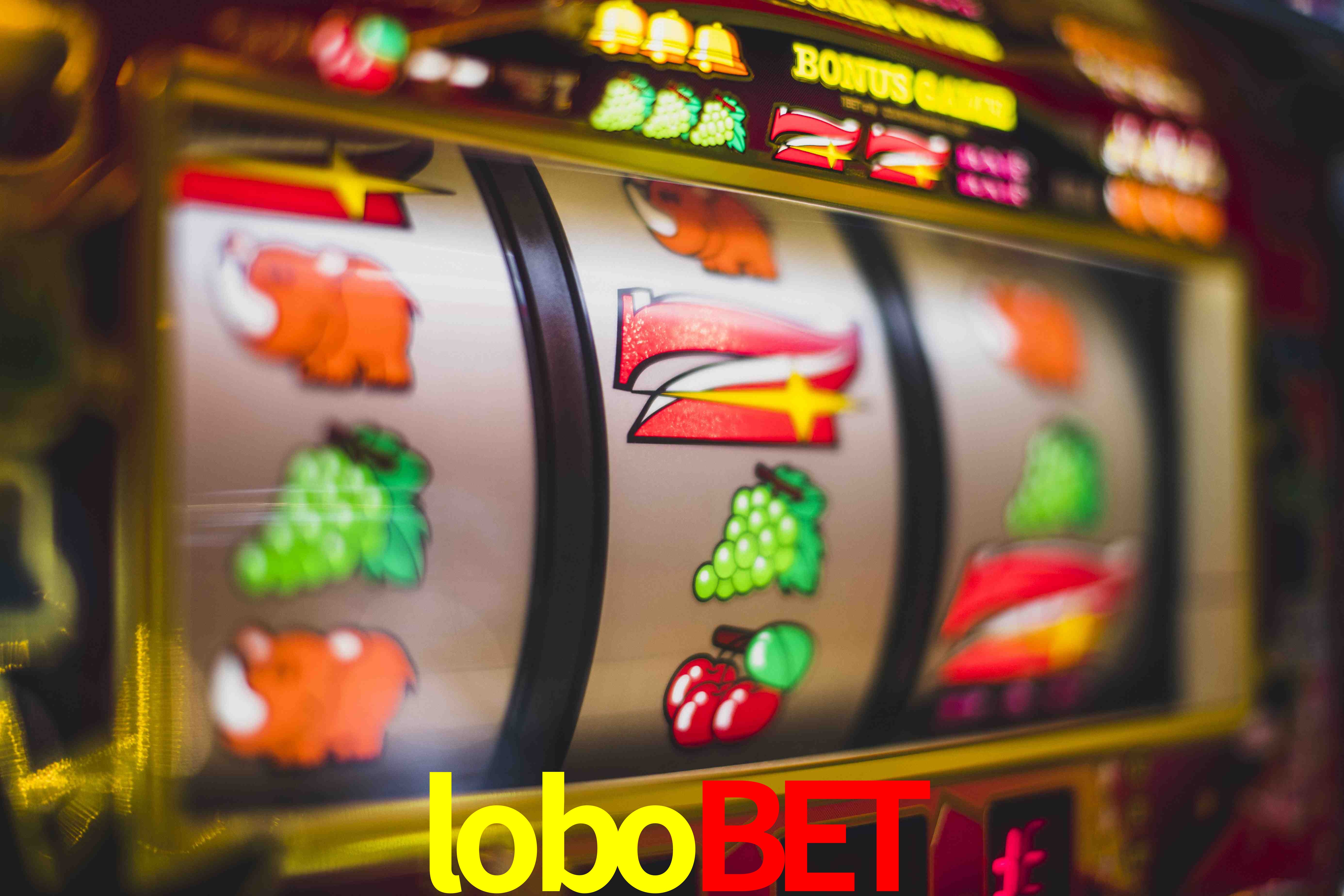 Sports Statistics lobobet